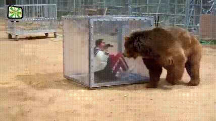 일본의 예능 | 인스티즈