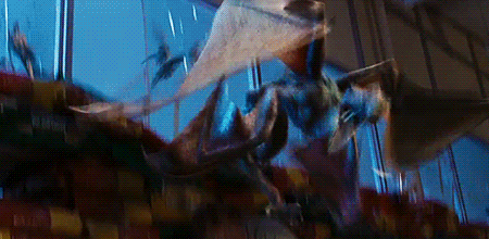 .gif (혐오주의) | 인스티즈