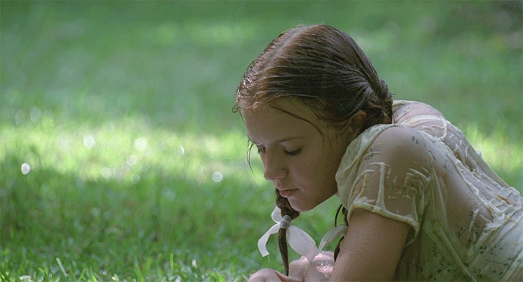 나를 이루는 책들 3 | 인스티즈