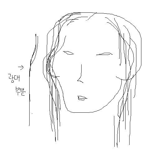 광대있는 여자의 삶.jpg | 인스티즈