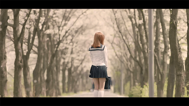 [트와이스] 일본인 멤버가 있다는 점을 잘 활용한 세라복 컨셉..ㅎㅎ .gif | 인스티즈