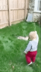 고양이를 채찍으로 내리쳐봤다 | 인스티즈