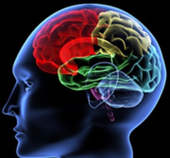 인간의 신기한 심리적 사실 10가지 | 인스티즈