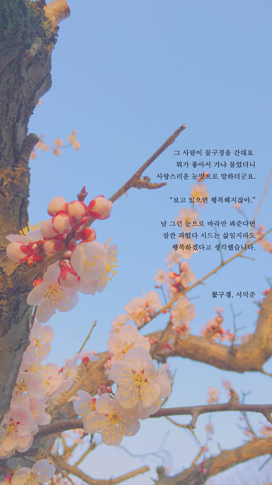 서덕준 시 모음 1 | 인스티즈