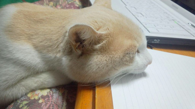 과제하다 지친 우리 모습 | 인스티즈