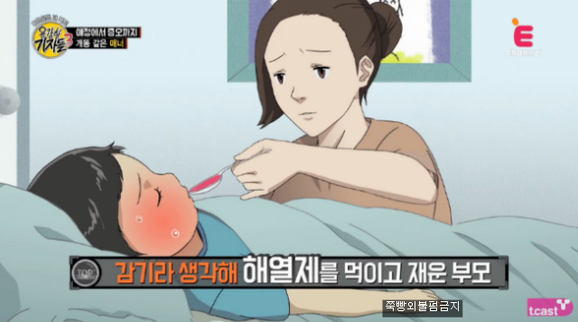 [용감한기자들] 견주가 반려견이 싼 똥을 치우지 않는경우"개똥 같은 매너" | 인스티즈