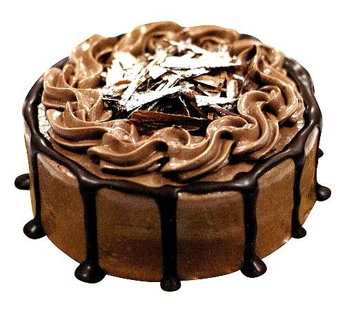 여시들의 케이크 타입은?? | 인스티즈