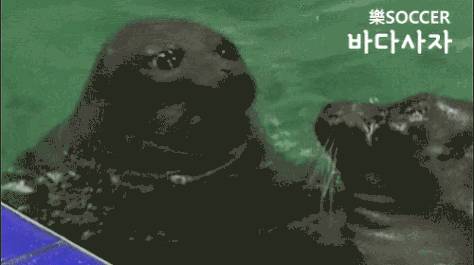 맛있는 녀석들 색드립 | 인스티즈