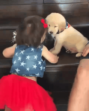 인절미들.gif | 인스티즈