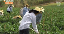 여성들만 모여 사는 평화롭고 아름다운 브라질 마을 '노이바 도 코르데이로' | 인스티즈