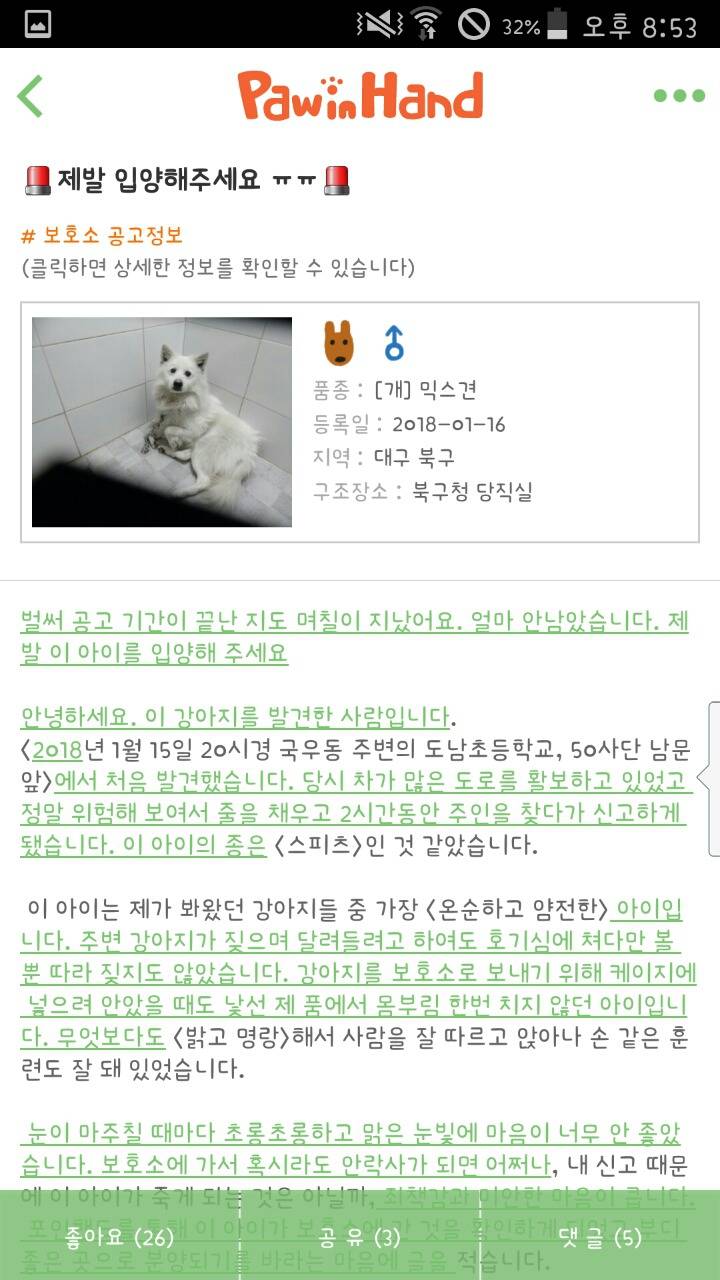 순하고 사람 잘 따르는 스피츠야.. 이젠 입양밖에 방법이 없어 이 애기 좀 제발 도와줘 (대구경북) | 인스티즈