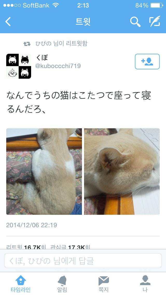 과제하다 지친 우리 모습 | 인스티즈