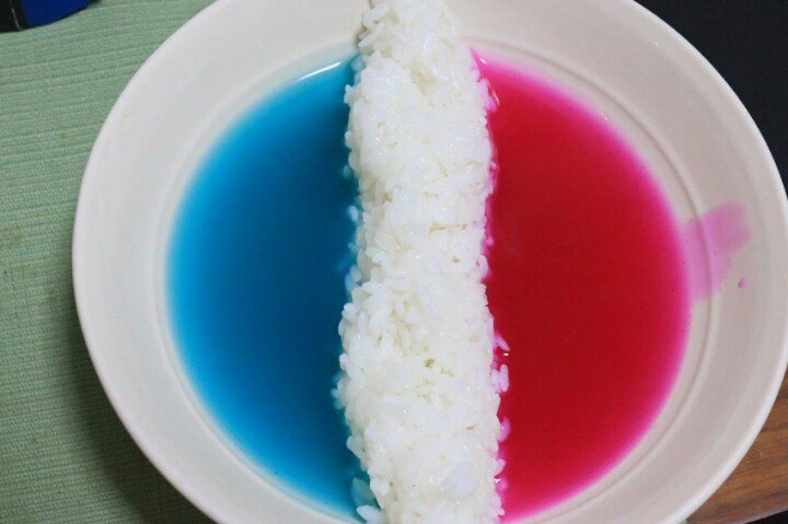 강제 다이어트짤.jpg | 인스티즈