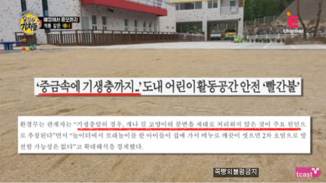 [용감한기자들] 견주가 반려견이 싼 똥을 치우지 않는경우"개똥 같은 매너" | 인스티즈