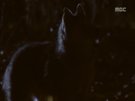 [거침없이하이킥] 식모문희와 순재도련님의 러브스토리 -下- | 인스티즈