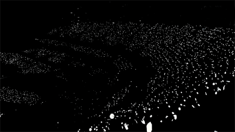 생생한 콘서트 당일 분위기 | 인스티즈