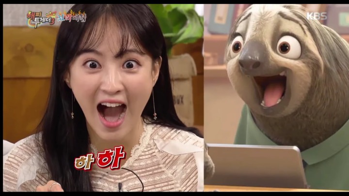 [해피투게더] 주토피아 나무늘보 완벽하게 묘사하는 정혜성ㅋㅋㅋㅋㅋ | 인스티즈