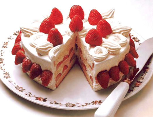 여시들의 케이크 타입은?? | 인스티즈