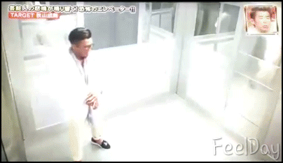 일본의 예능 | 인스티즈