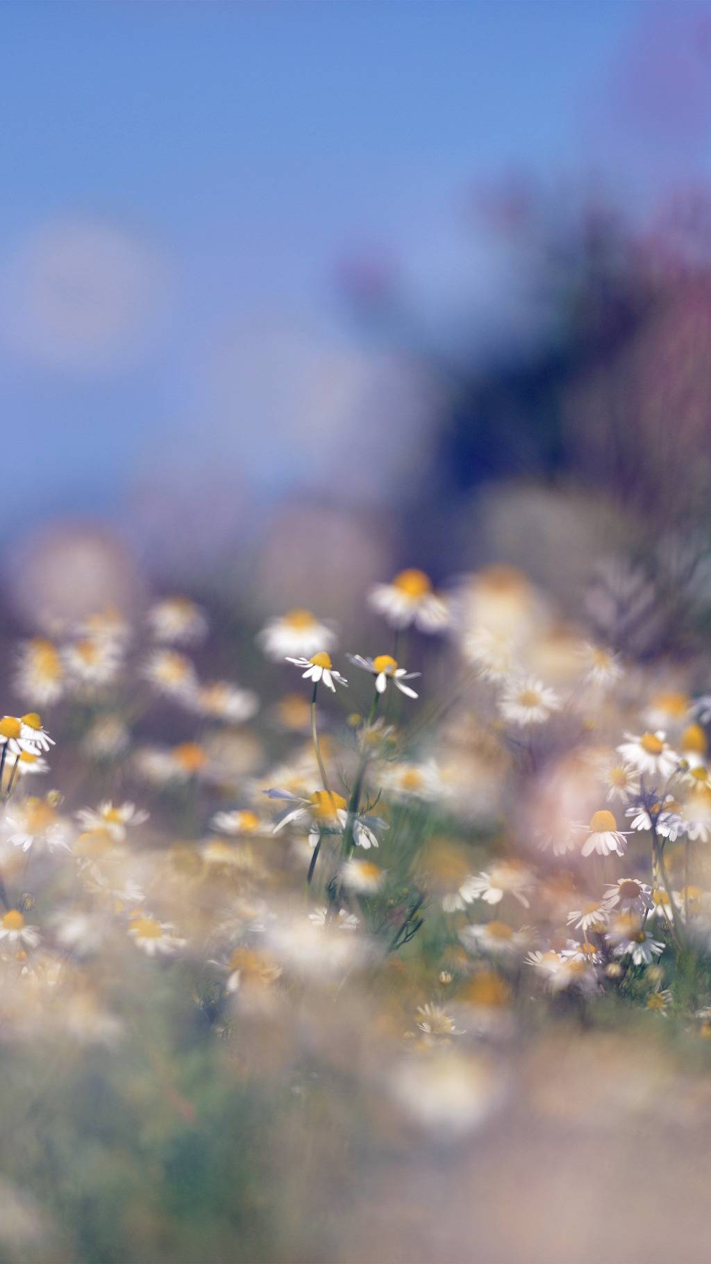 #.07 제가 좋아하는 스타일의 잠금화면 & 배경화면 20장. jpg | 인스티즈