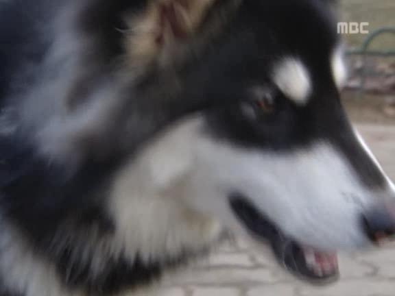 [거침없이하이킥] 식모문희와 순재도련님의 러브스토리 -下- | 인스티즈