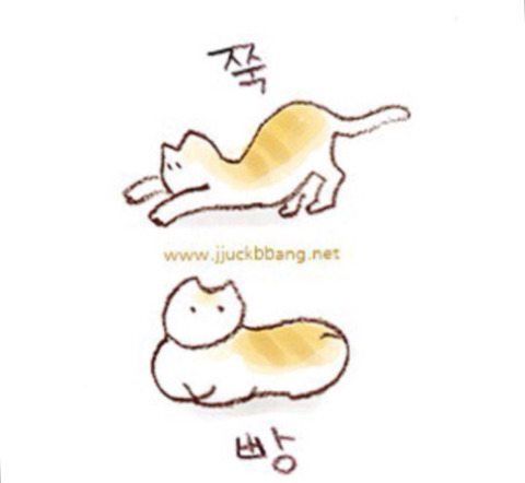 90년대생 추억의 애니메이션 | 인스티즈