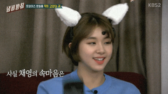 고양이의 마음이 되어버린 트와이스.gif | 인스티즈
