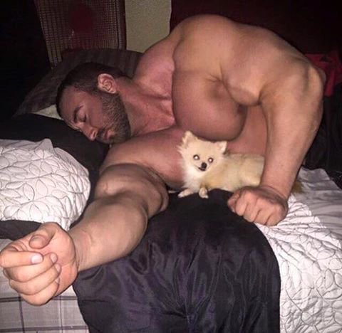 댕댕이랑 같이 자는 주인 | 인스티즈