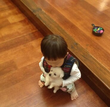 문재인 대통령이 키우는 반려동물들 | 인스티즈