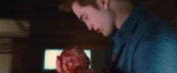 [트와일라잇] 엄마가 된 (구)닝겐 (현)뱀파이어... | 인스티즈