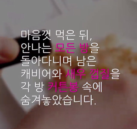 마틴은 새 여친과 살기위해 아내 안나와 이혼했습니다 | 인스티즈