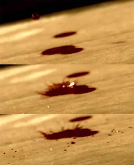 핏자국이 그려낸 범인의 몽타주, 200회의 공격과 0회의 방어 2 | 인스티즈