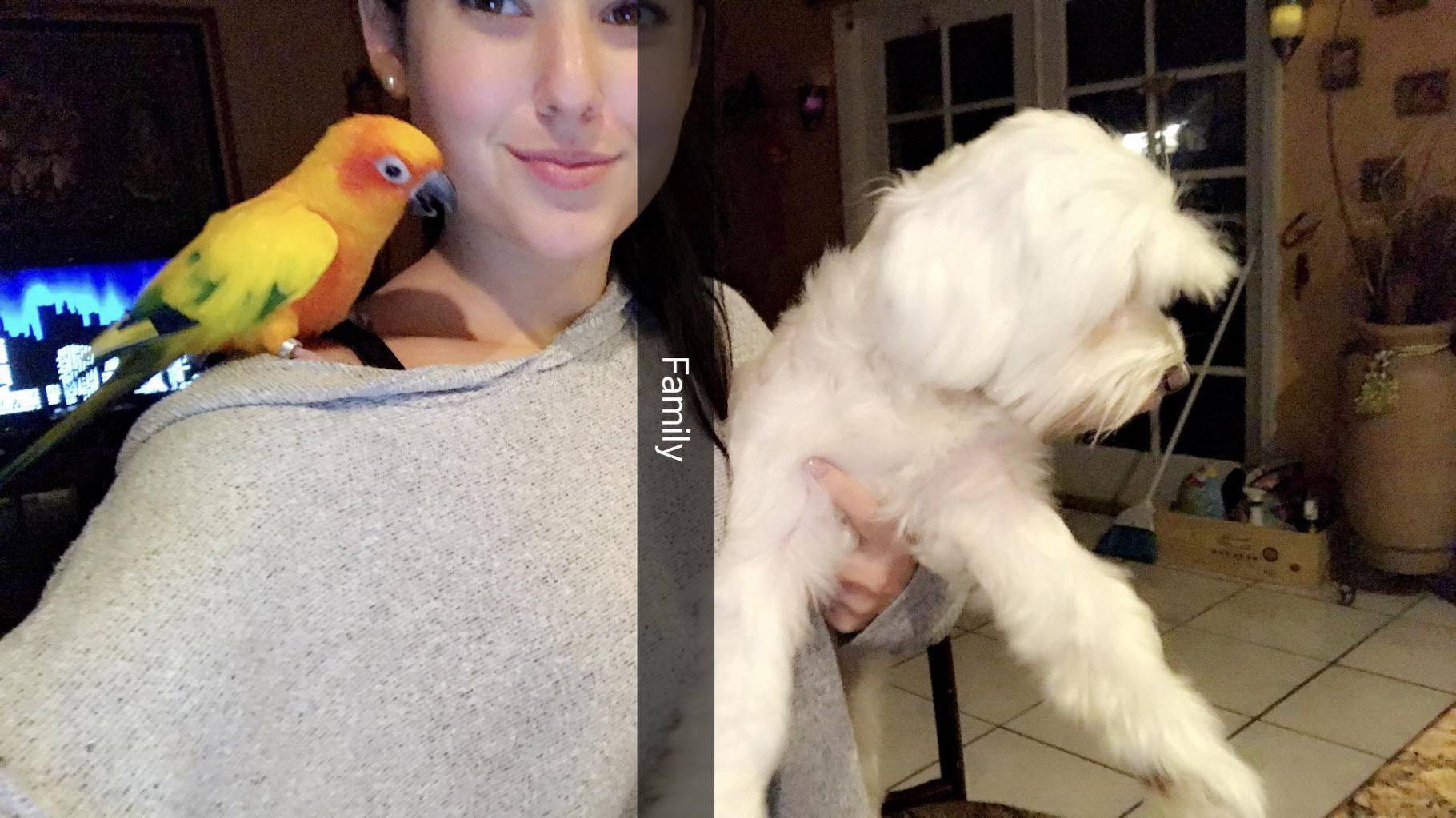 앤지 바로나 | 인스티즈