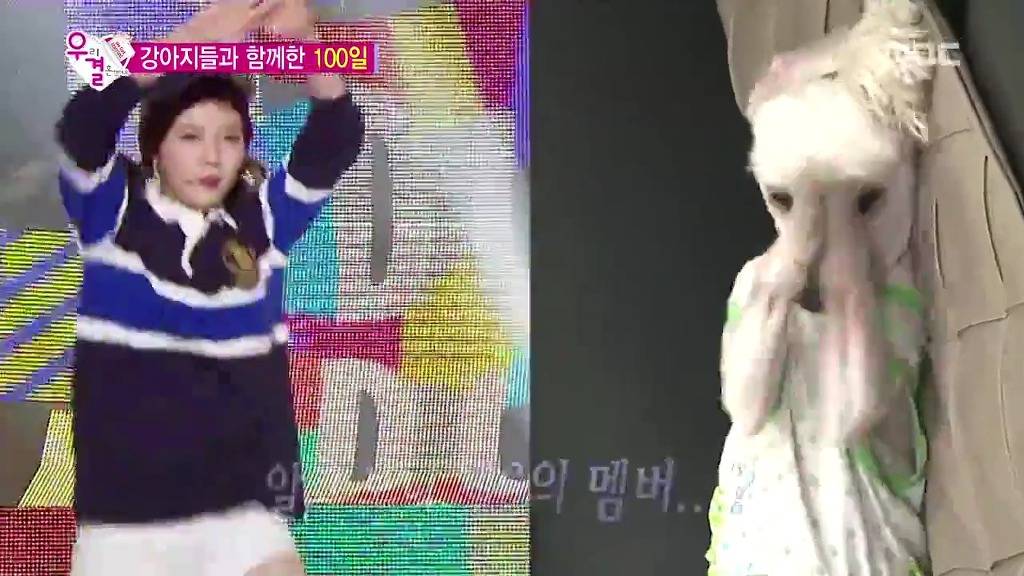 조이가 성격 좋아보인다는 반응이 많은 이유(feat.토요드라마).jpg | 인스티즈