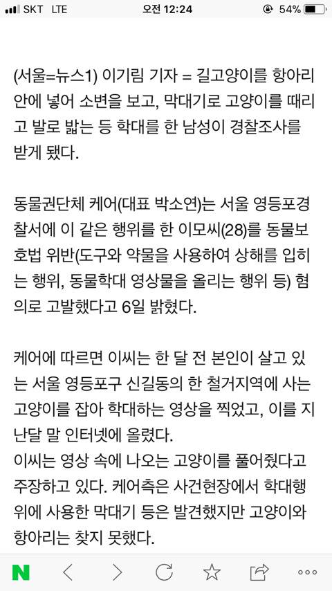 길고양이 때리고 항아리에 넣어 소변 본 남성 입건 | 인스티즈