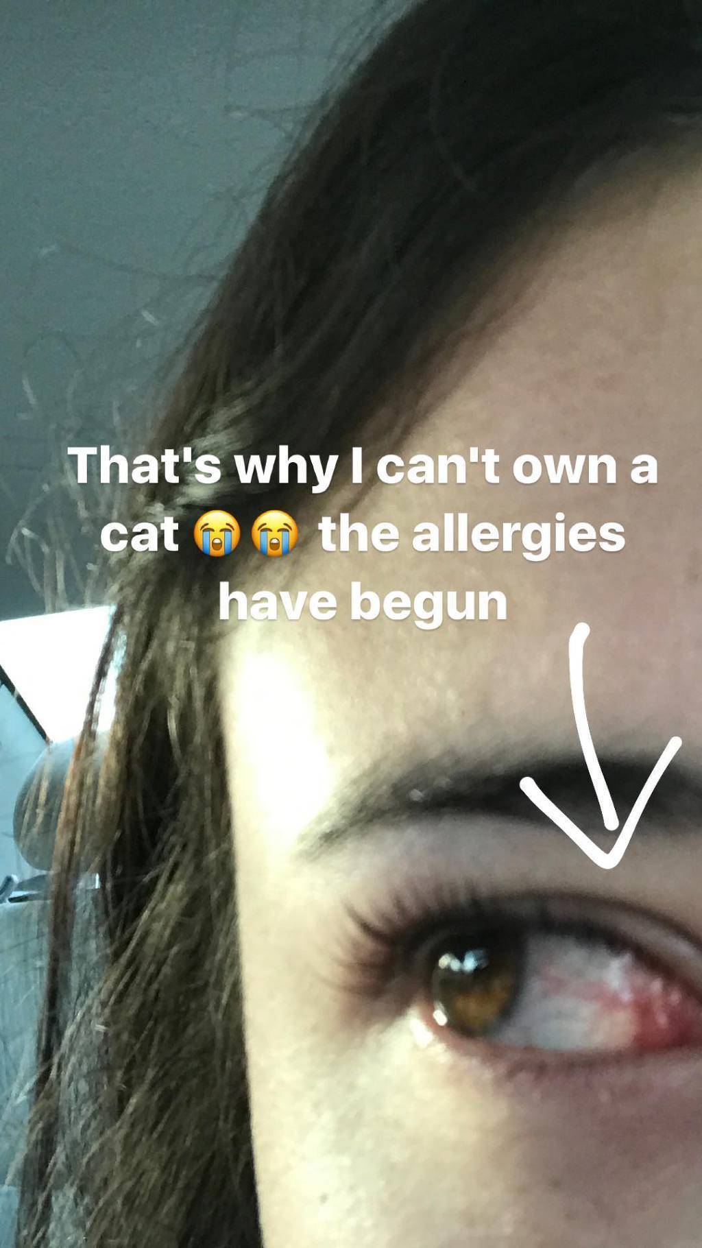 앤지 바로나 | 인스티즈