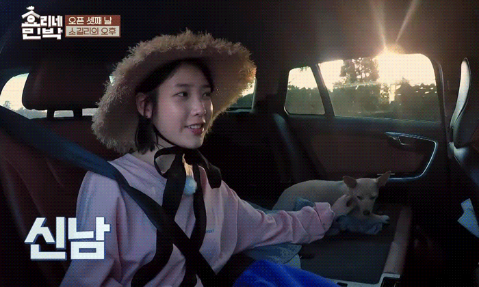 [효리네민박] 아이유에게 마음을 연 모카.gif | 인스티즈