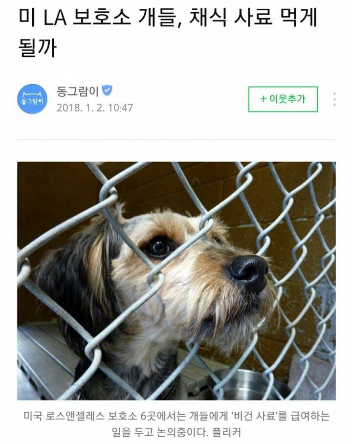 채식주의자의 영향력 | 인스티즈