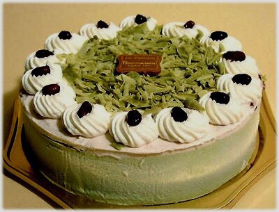 케이크 취향은? | 인스티즈