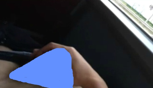 [한국] 공공장소에서 미더덕 드러내고 자위 하는 정신나간 놈들 .jpg | 인스티즈