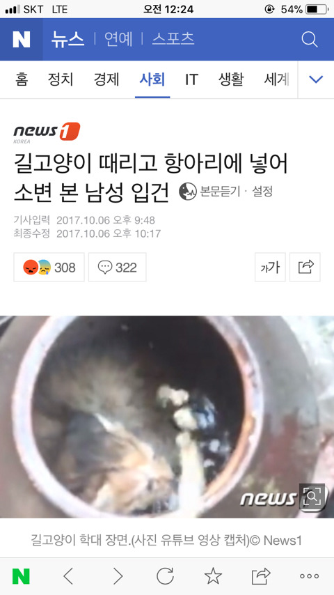 길고양이 때리고 항아리에 넣어 소변 본 남성 입건 | 인스티즈