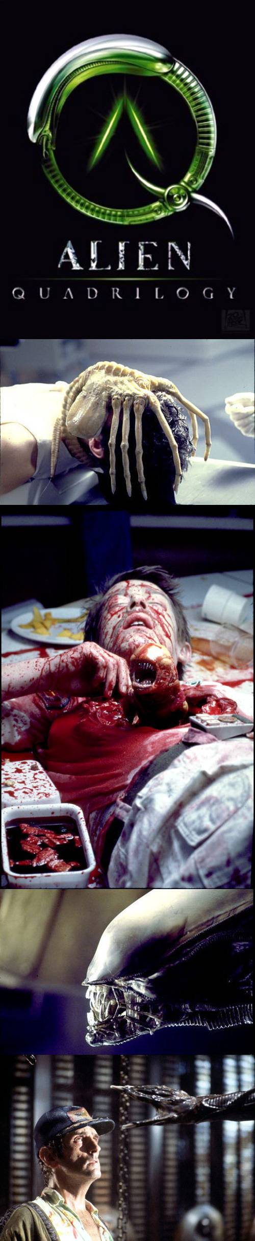 [공포잔인주의] 영화추천 | 인스티즈