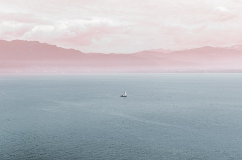 한 가수가 팬들에게 했던 말들 | 인스티즈