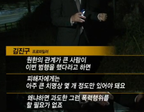 핏자국이 그려낸 범인의 몽타주, 200회의 공격과 0회의 방어 2 | 인스티즈