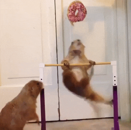 동기부여 | 인스티즈