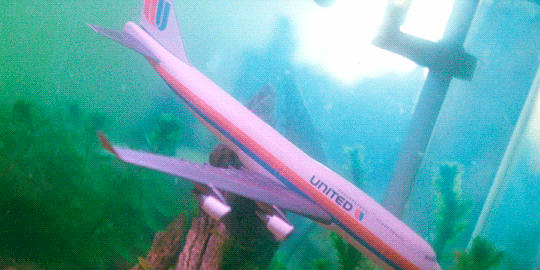 [영화] 중경삼림 (1994) | 인스티즈