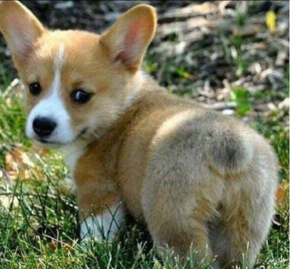 호불호 갈리는 엉덩이 모음 | 인스티즈