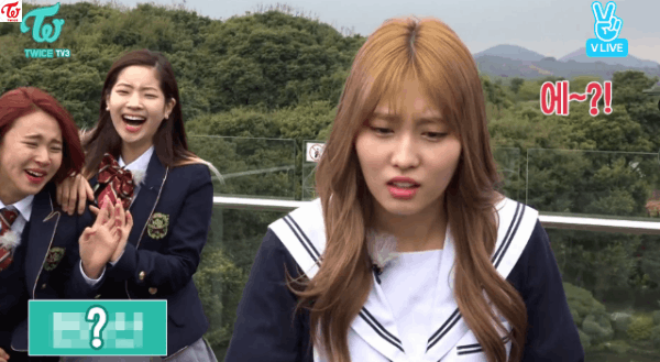 구글도 인정한 트와이스 공식 바보 모모 | 인스티즈