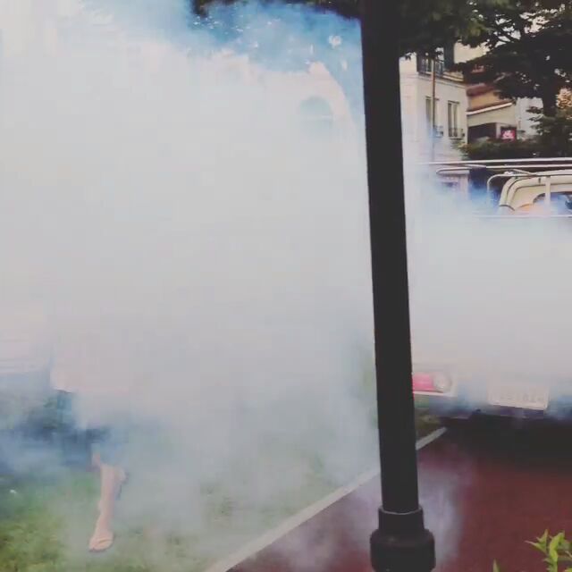 아직도 다니는 소독차.jpg | 인스티즈