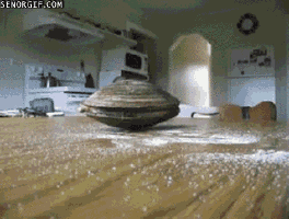 조개가 움직이는 방법.gif | 인스티즈